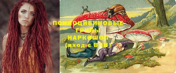 СК Медногорск