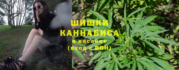 СК Медногорск