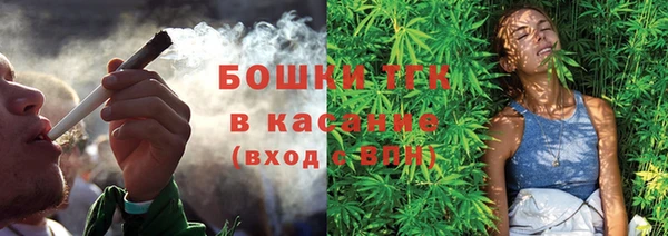 ПСИЛОЦИБИНОВЫЕ ГРИБЫ Медвежьегорск