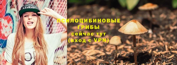 PSILOCYBIN Гусиноозёрск