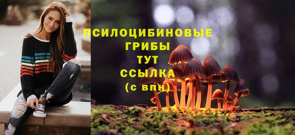 ПСИЛОЦИБИНОВЫЕ ГРИБЫ Медвежьегорск