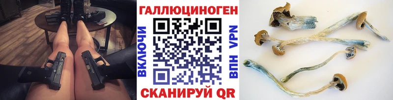 Псилоцибиновые грибы Psilocybe  закладки  Козловка 